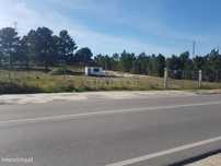 Terreno Rústico de 5.000m2 em Pinhal de Frades