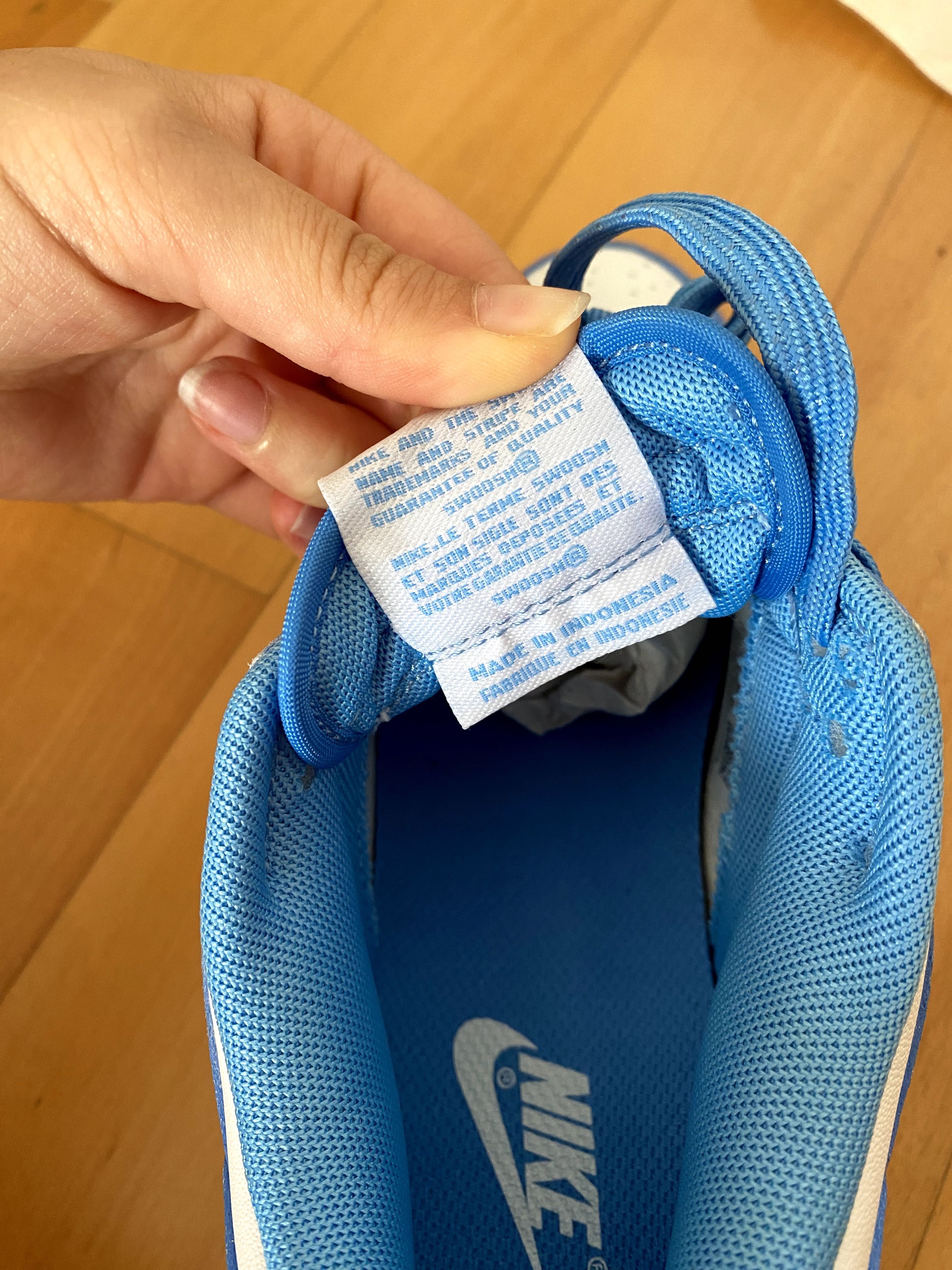 Nike Dunk University Blue