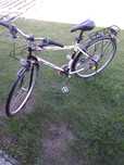 Rower CROSS TRAIL zenitsport