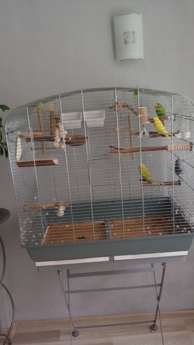 Klatka Sara dla ptaków