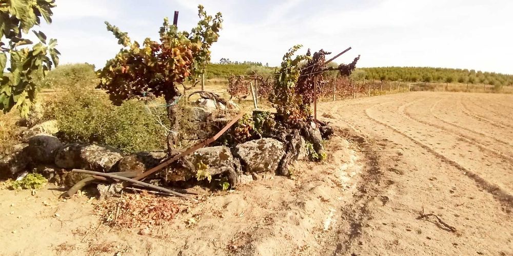 Terreno à venda em Povoa de Atalaia - Alpedrinha - Fundão
