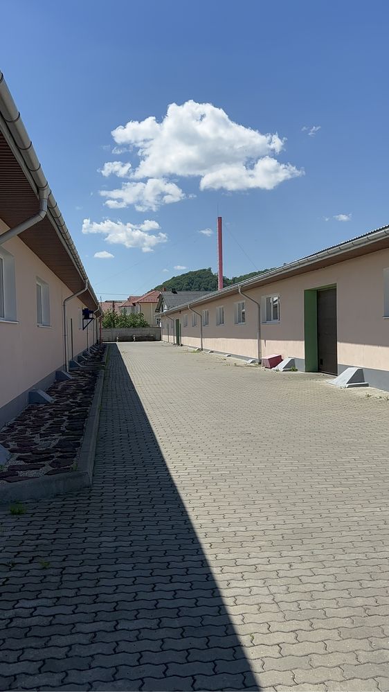 Продаж готового бізнесу - виробництво паркетної дошки