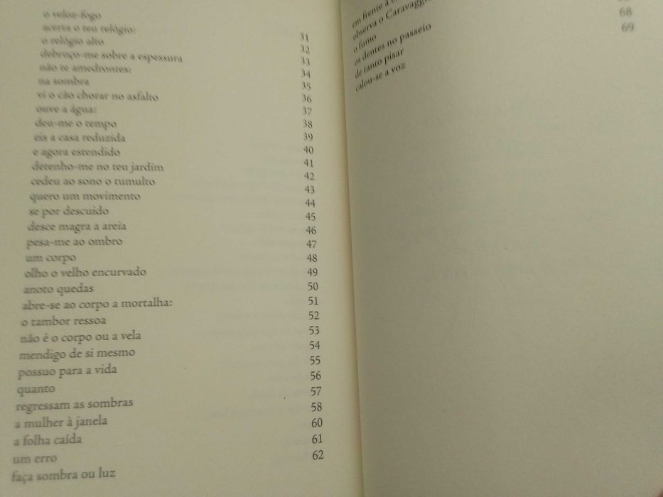 Manuel Alberto Vieira - Da pétala, gume