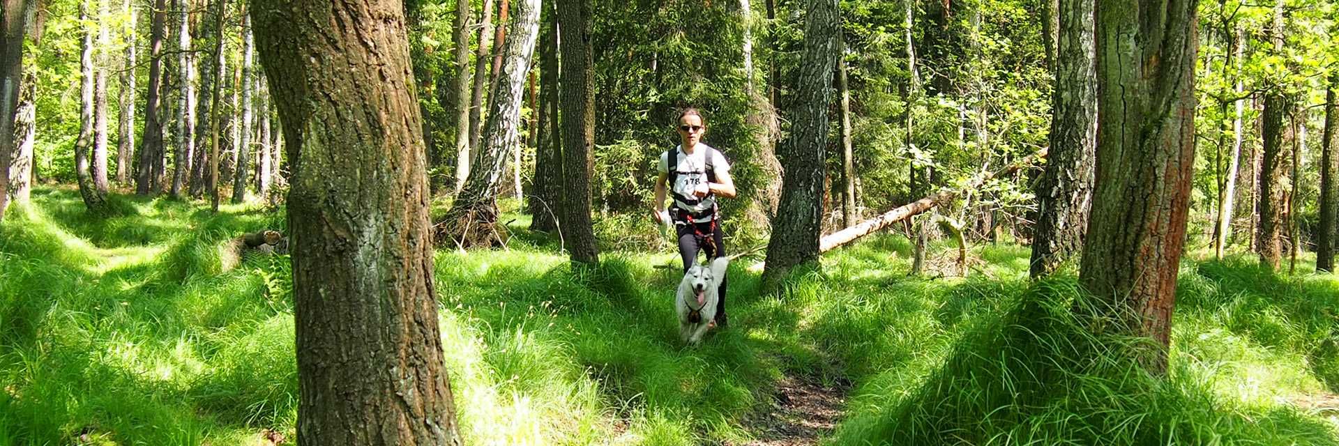 HIFICA LITERUN PA/RHISM SzelkiGuard Szyte na Miarę Dogtrekking dla Psa