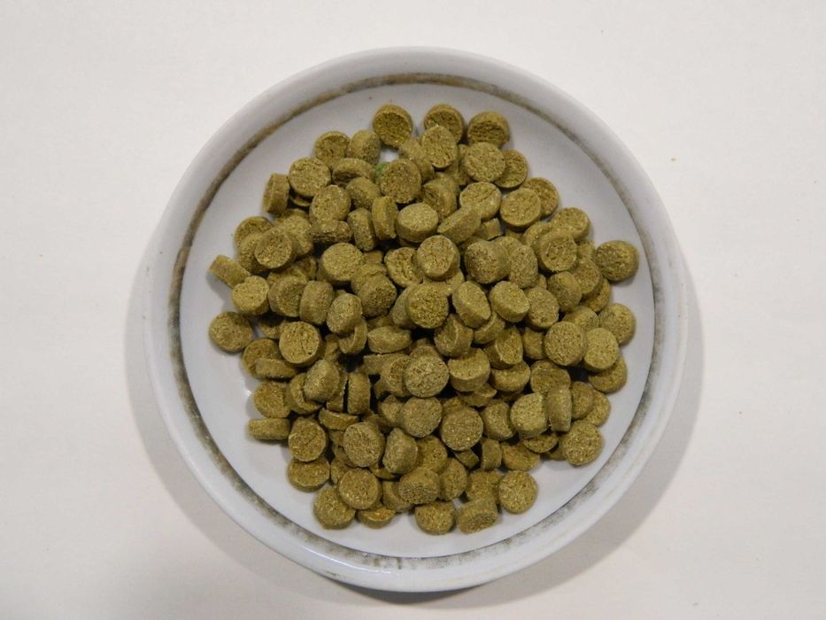 Корм для  Анциструсов, сомов, придонных рыб