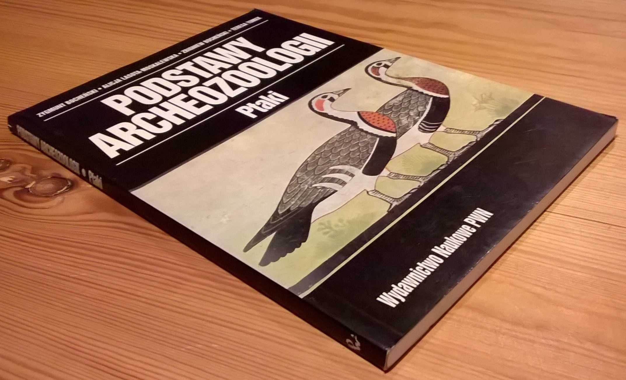 Podstawy Archeozoologii – Ptaki