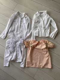 Блузки для дівчинки в садок, школу