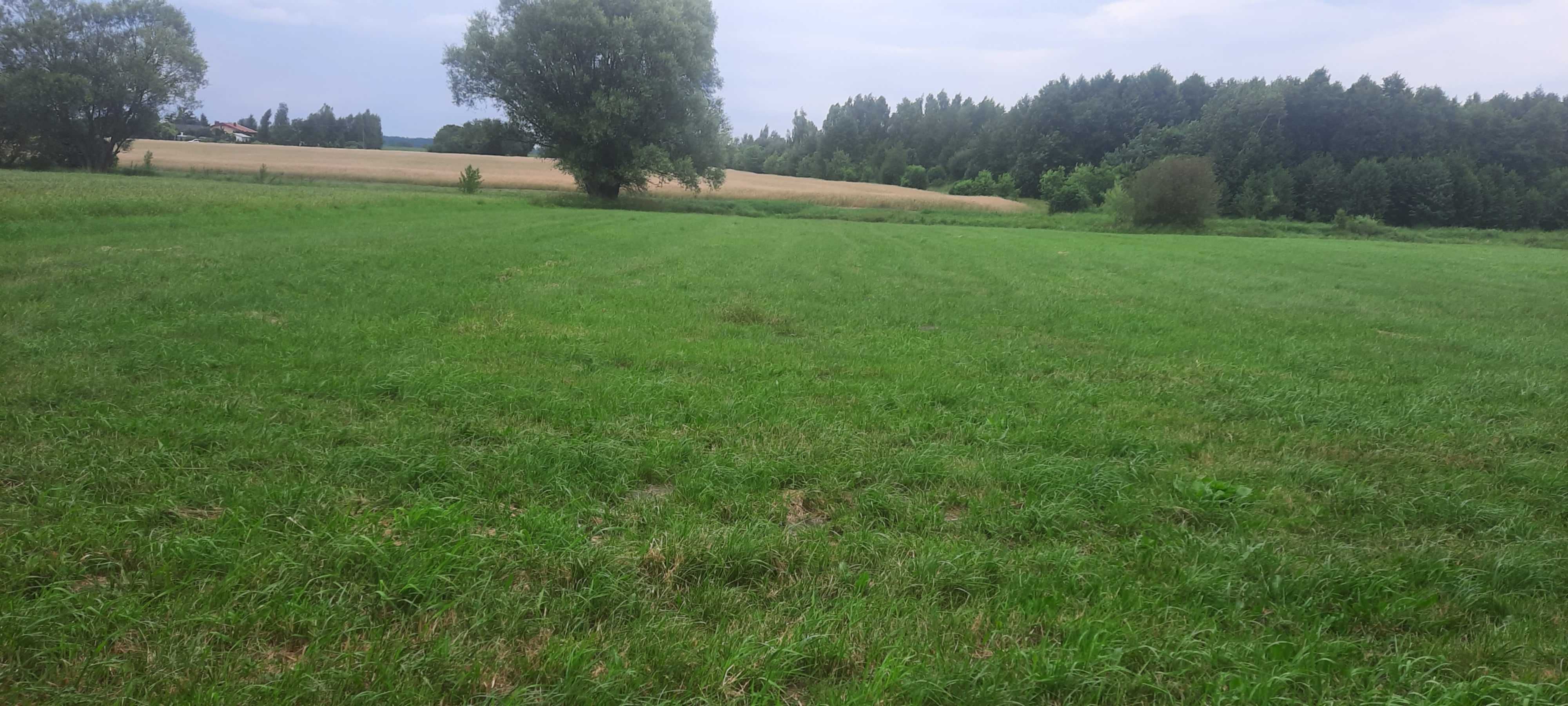 Sprzedam dużą działkę w Rybitwy 23 (Mazowieckie)