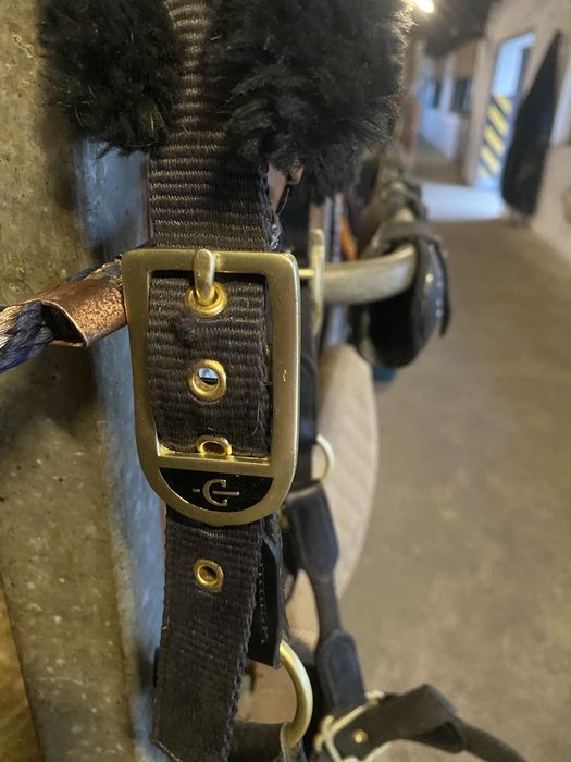 Kantar cavallo z uwiązem cob