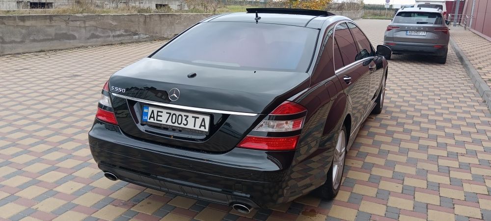 Без жодного підкрасу, один с живих мурчиків на самому правильному двиг