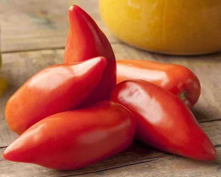 10 Sementes de Tomate Cornue des Andes