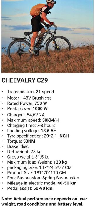 Electric Bicycle + Charger (Included)