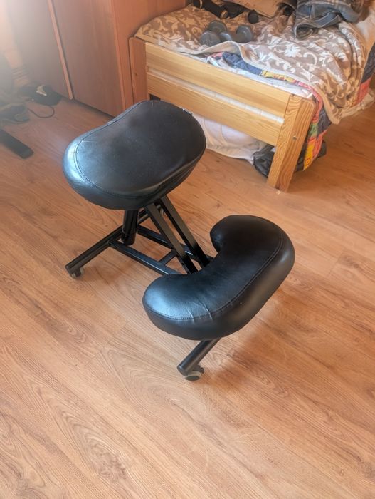 Klękosiad Habys w stanie bdb