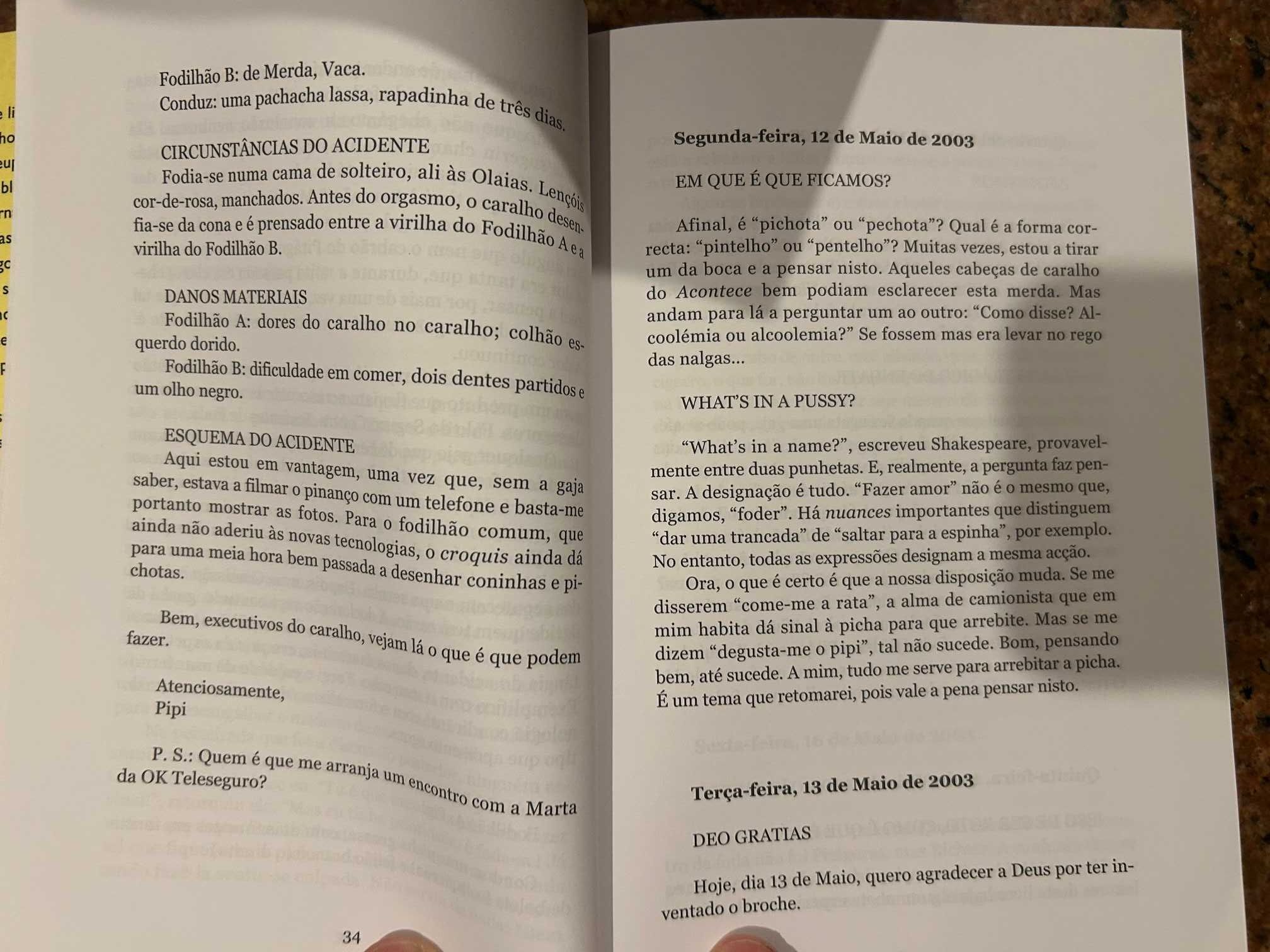 O meu pipi - diário