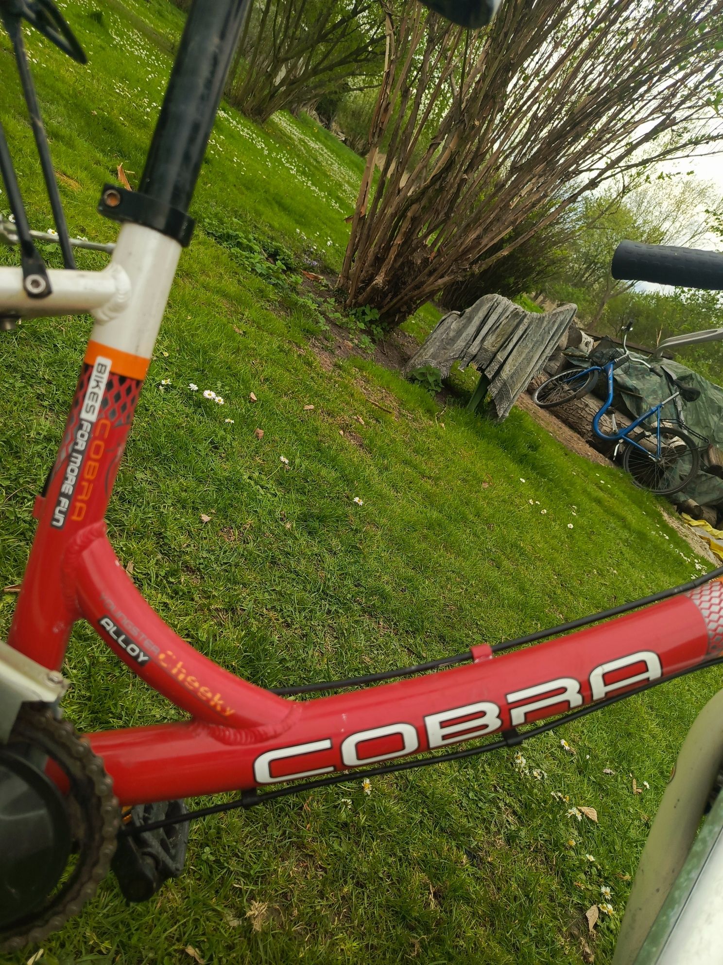 Rower cobra german 24 cale