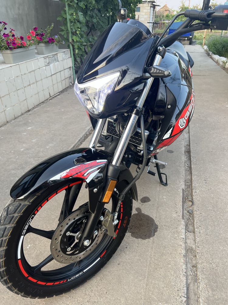 Geon pantera 250