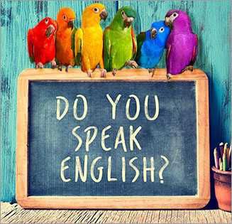 Korepetycje z języka angielskiego – Matura, Egzamin 8-klasisty