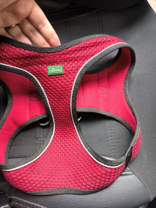 Шлея шлійка Hunter для собаки