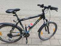 Rower Kellys Magic cross -country XC rama 19,5