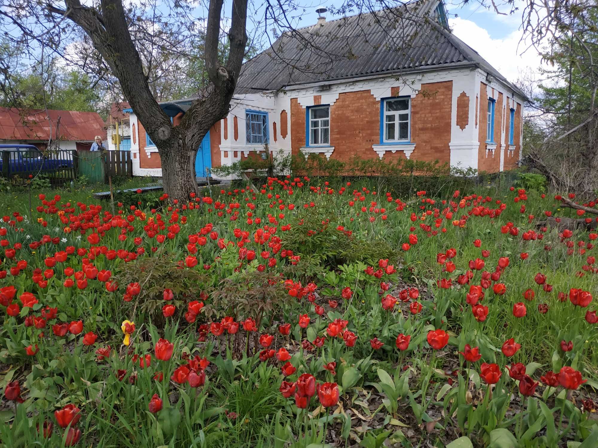 Продається будинок с. Тарасівка Звенигородський р-н