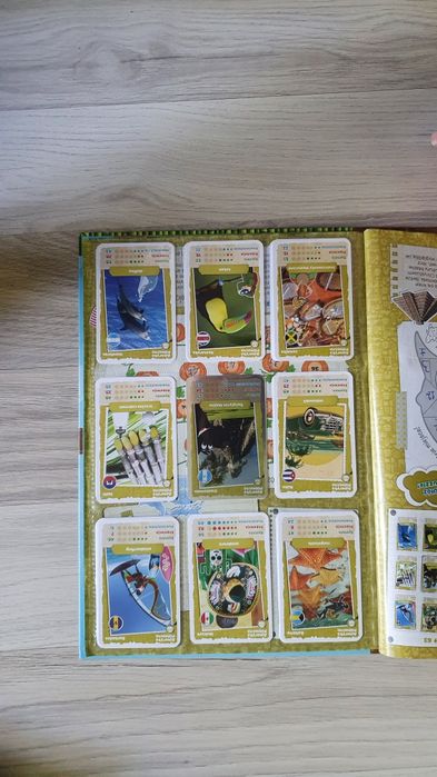 Album kolekcjonerski NETTO