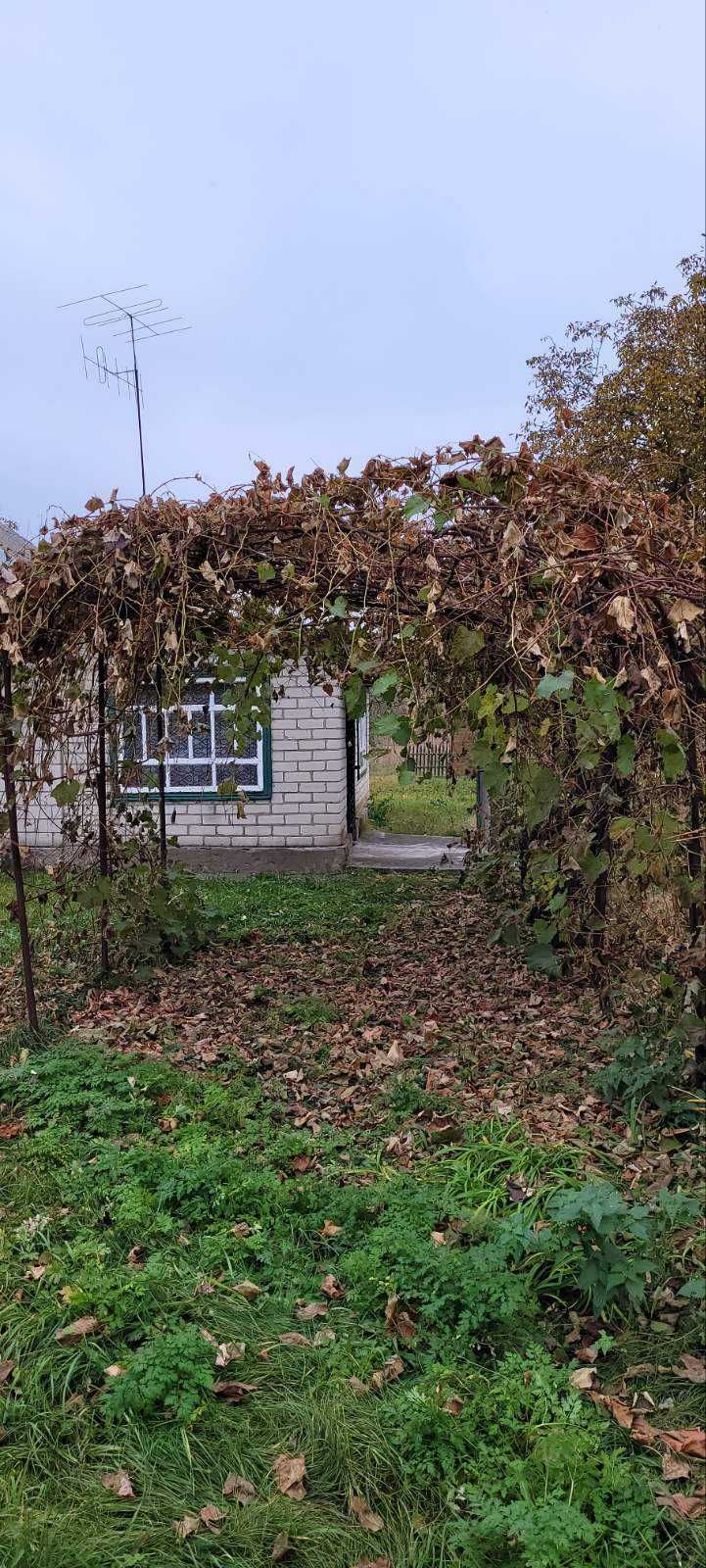 Продам дачу на берегу р.Ворсклы