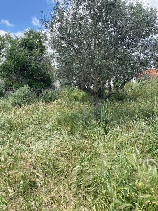 Casa centro historico de Mourão com vista para o castelo.