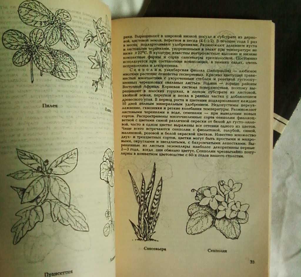 Книги по комнатному цветоводству, 2 книги в наборе