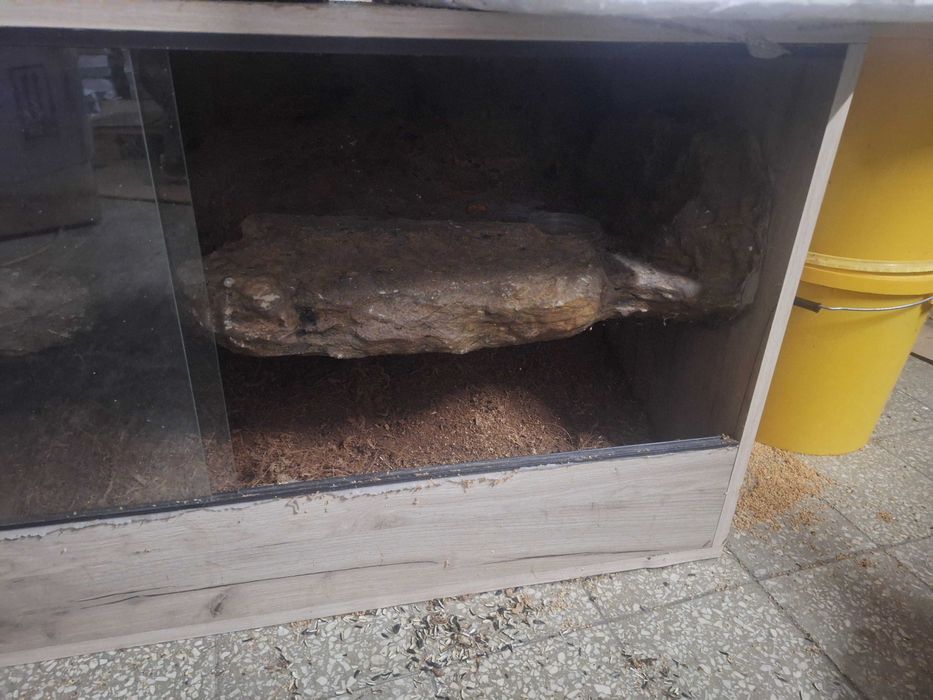 Terrarium 120x50 wys.60