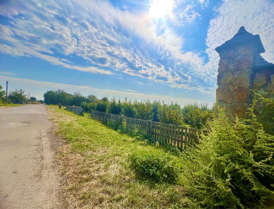 Ділянка 40 сотих, 20 під будівництво з фундуковим садом. Загребля