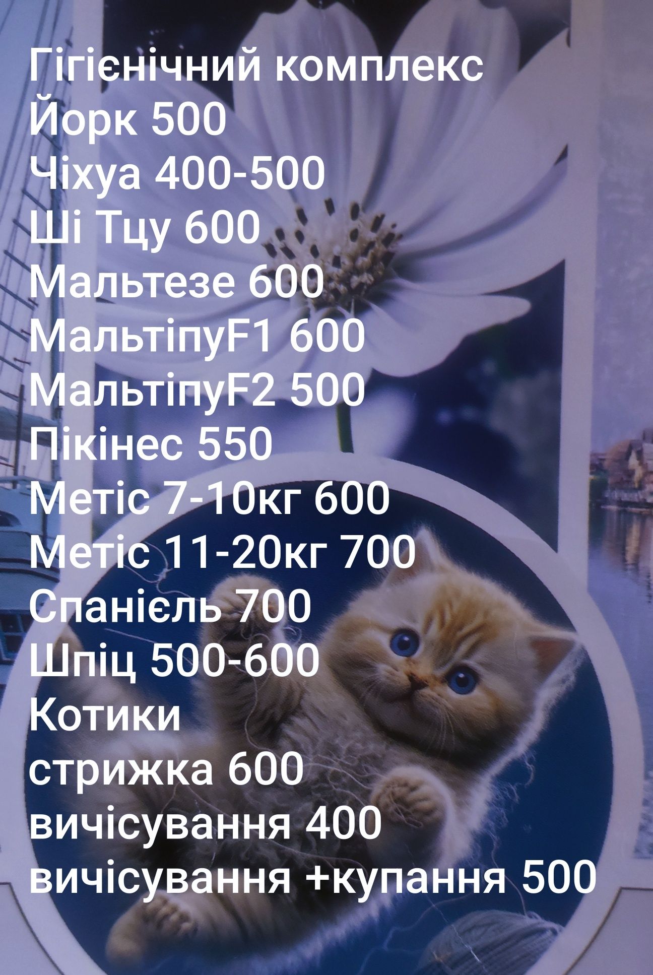 Грумінг. Стрижка котів та собак