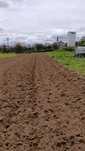 Serviços agrícolas/ limpeza de terrenos