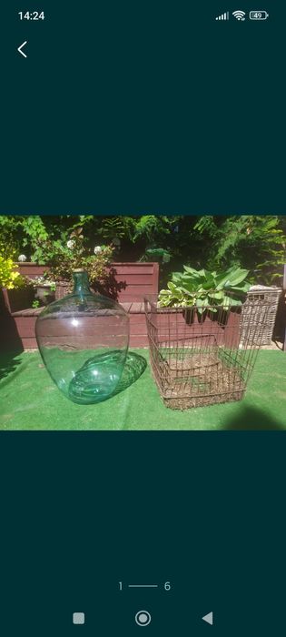 Wielka butla Min.50litrów, galon, Gąsior na wino z metalowym koszem.