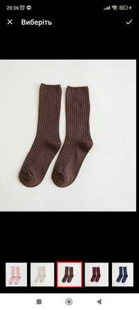 Шкарпетки, носки