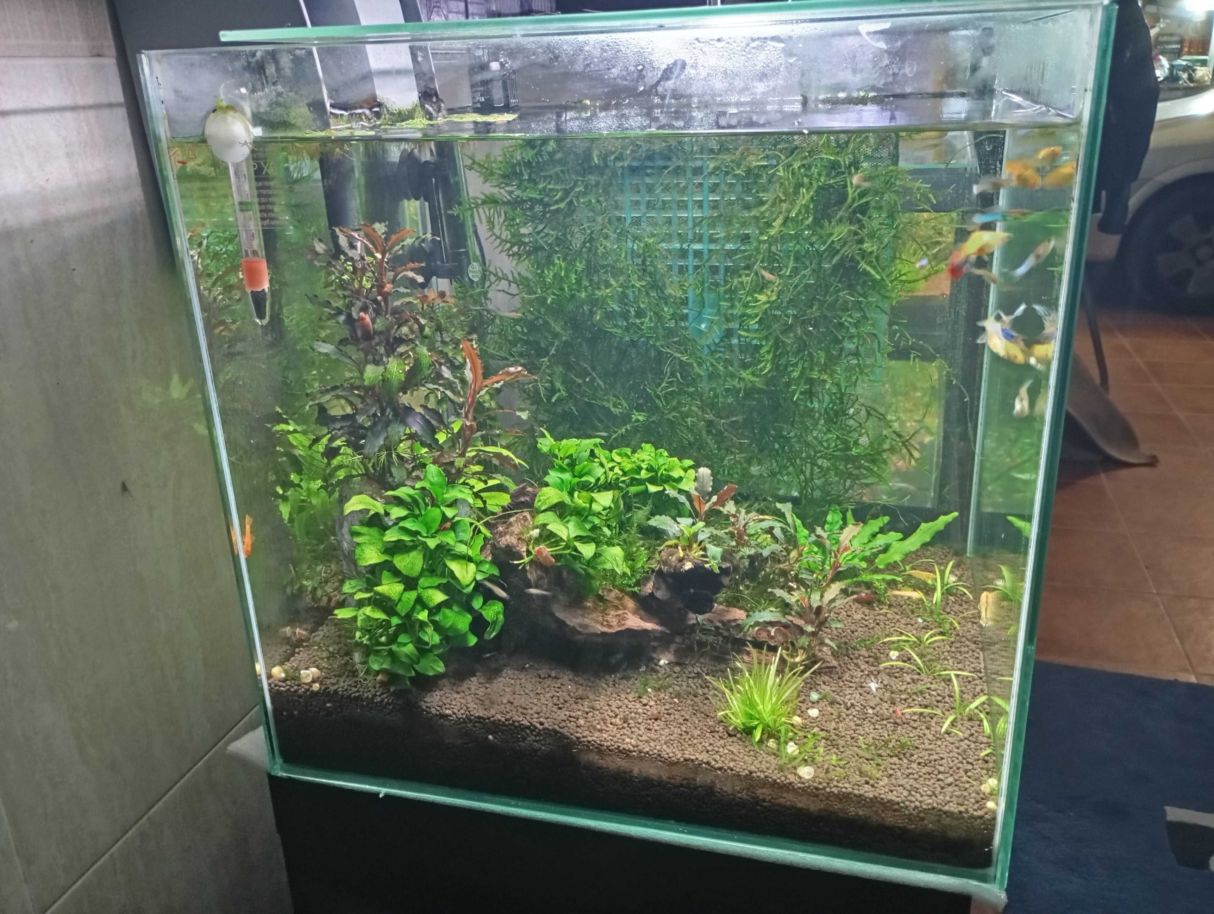 Aquario Cubo Aquatlantis