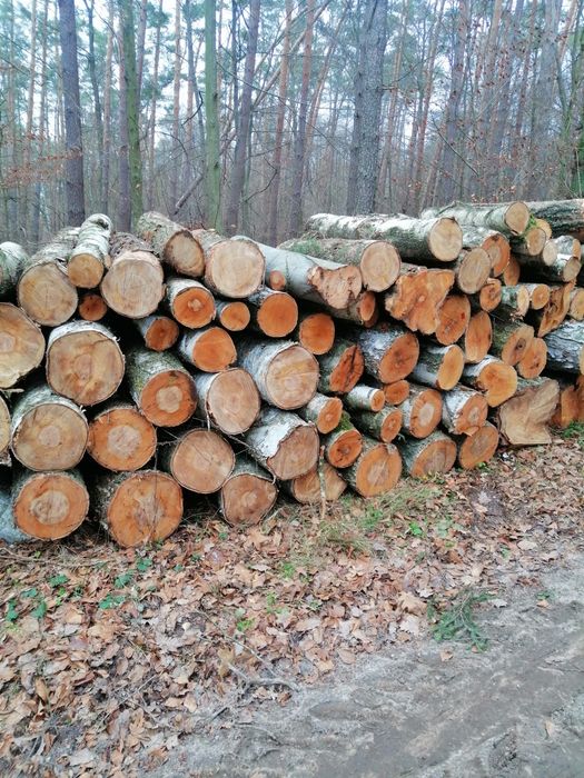 Drewno opałowe, buk, dąb, grab akacja