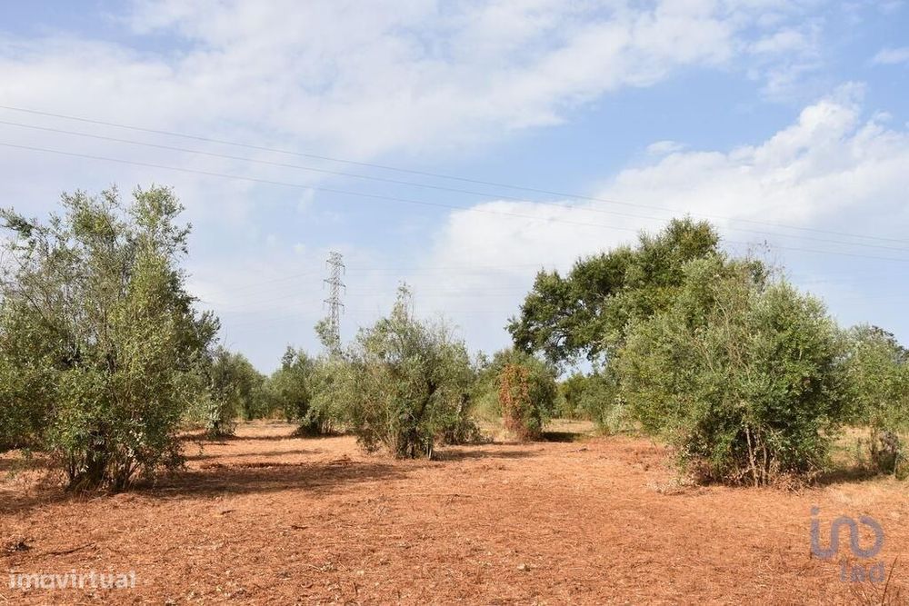 Terreno em Areias e Pias de 1040,00 m2