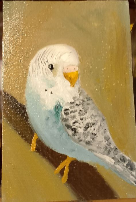 Papużka na tabliczce malarskiej