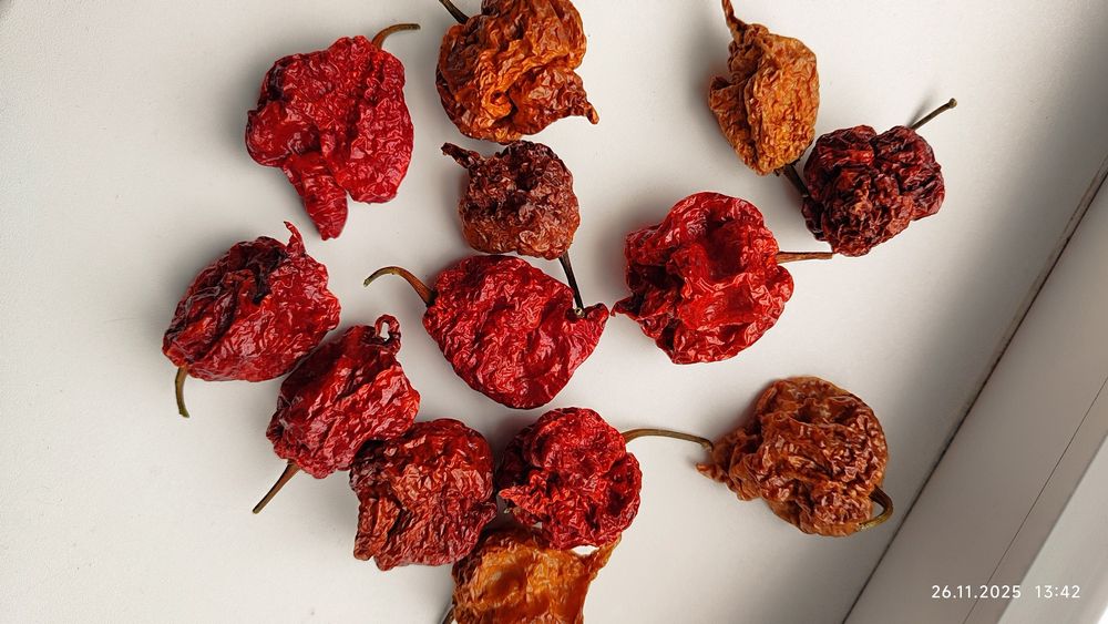 Carolina Reaper надгострий перець сушений.