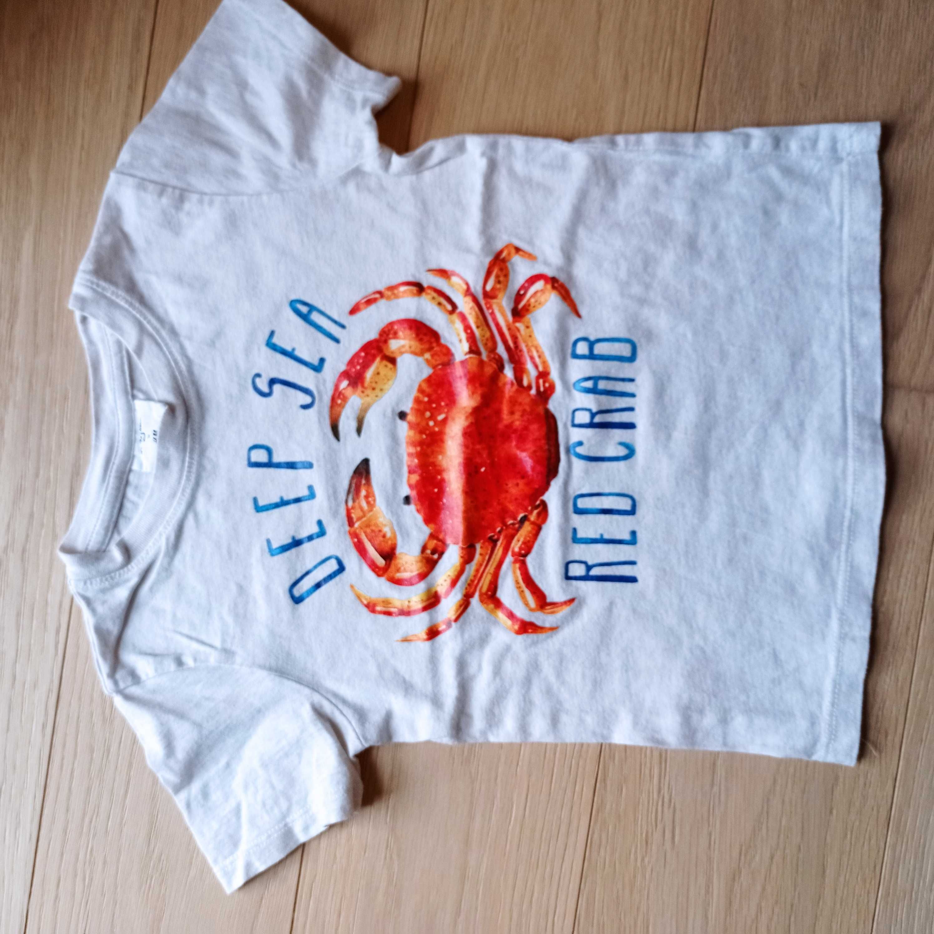 T-shirty dla chłopca w rozmiarze 98-104