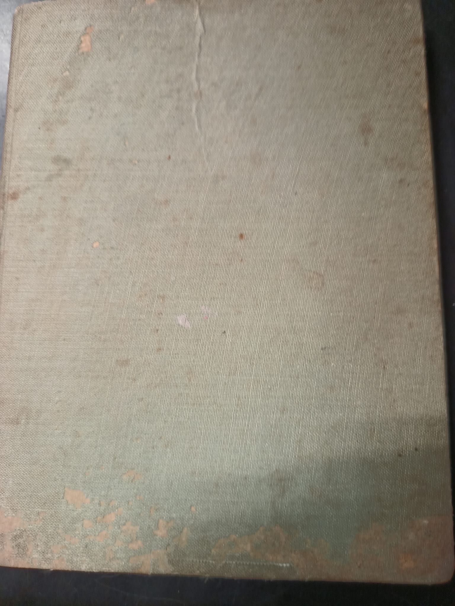 Maryla Wolska Dzbanek malin Biblioteka medycka 1929