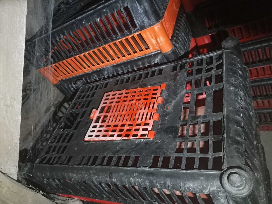 Klatki dla drobiu skrzynki do kur ptaków transportery