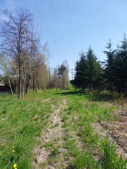 Działka 23 ar, Rybna