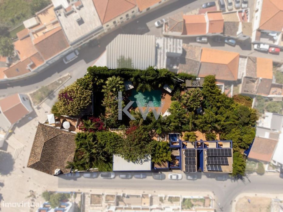 Majestoso Hotel Com Jardim Tropical