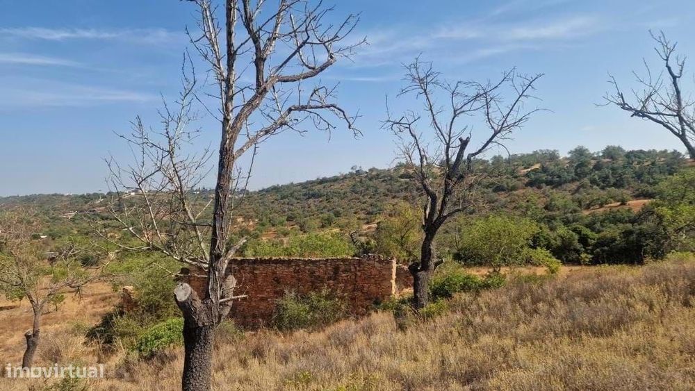 Lote de Terreno com Projeto Aprovado para Moradia V4+1 com piscina