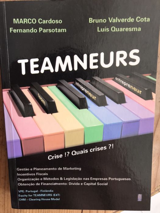 Livro Teamneurs novo