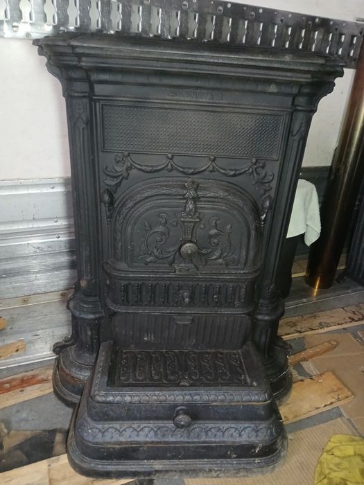 Salamandra edinoliva 2