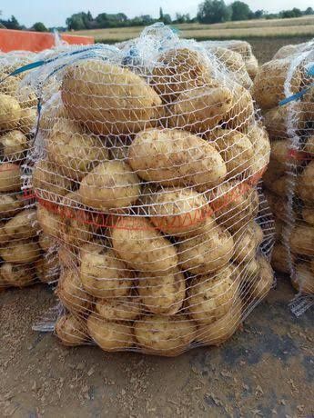 Ziemniaki jadalne 15 kg