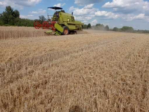 Claas Mercator 75