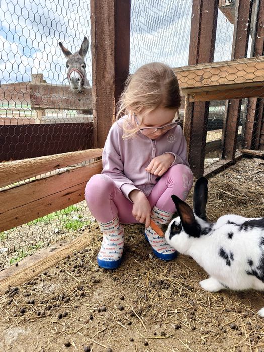 Agroturystyka KOTLINA Kłodzka , Góry Stołowe, wolne pokoje!